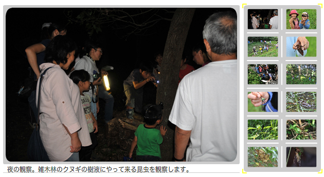 長谷川さんと昆虫採集