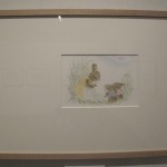 ふうとはなとうし