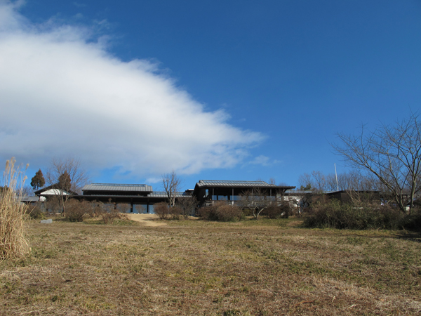 えほんの丘の草原