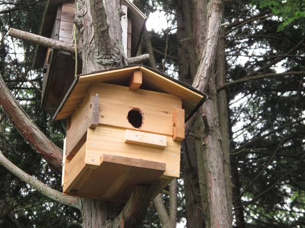 新村山邸 ムササビ用の巣箱
