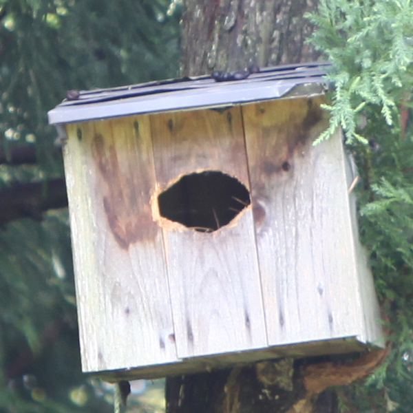 20130808musasabi_fun