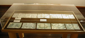 14ひきのさむいふゆのためのダミー